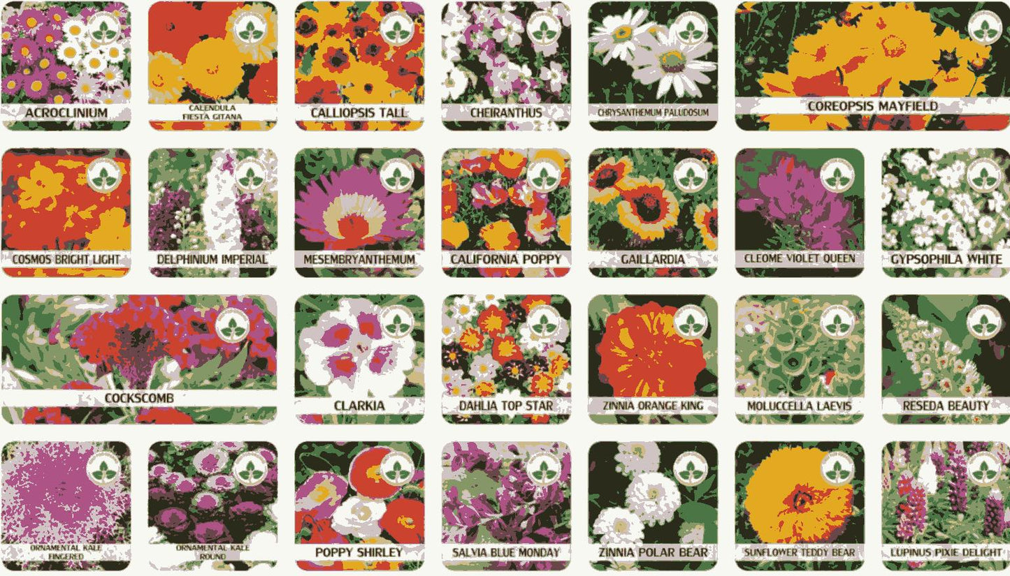 Colorful Flower Seeds (Pack of 100) with Free Growth Supplements